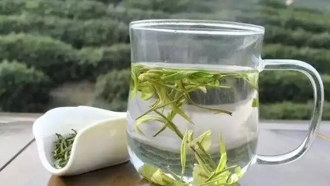 白茶是血糖“提速器”