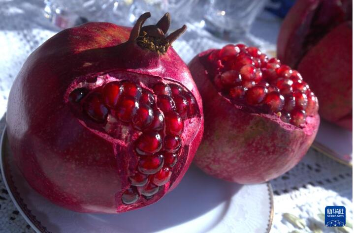 阿塞拜疆举办石榴节