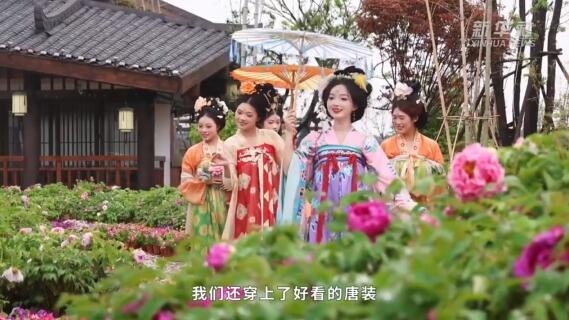 南岳牡丹花展：游客体