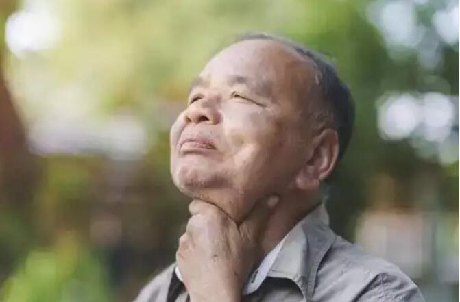 金银花茶凭啥又被关注