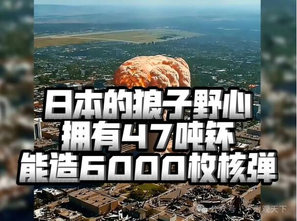 日本武器输出暗中支助