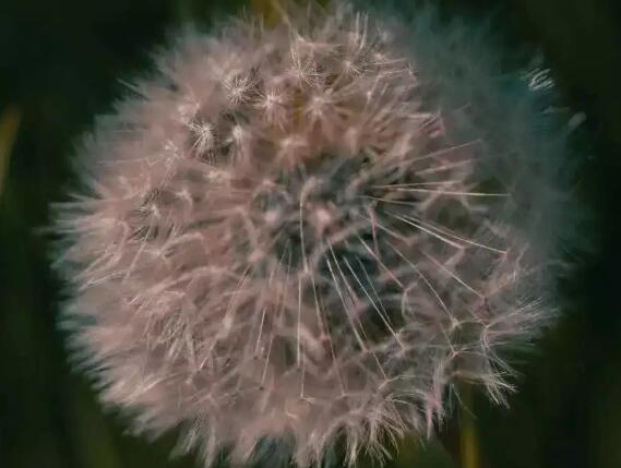 �ѹ�Ӣ����Щ����