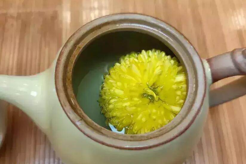 ���Ⱦջ�������Ѫ