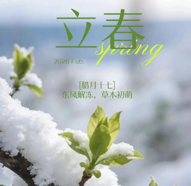 �������������桱