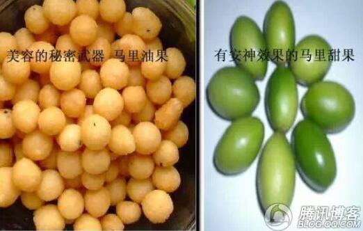 马里有一种美容果畅销