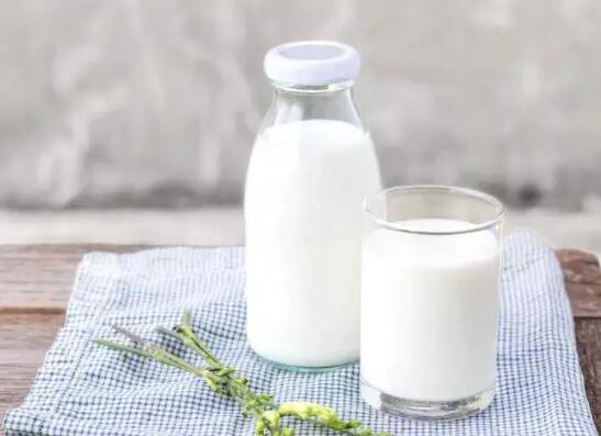 牛奶早上喝还是晚上喝好？