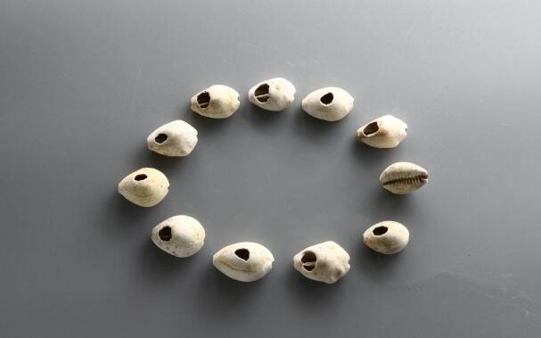 ����������ַ��������ʱ���Ŵ�