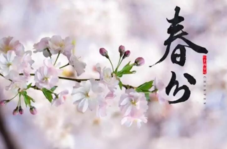 ���ֺ�ץ���ԡ�1