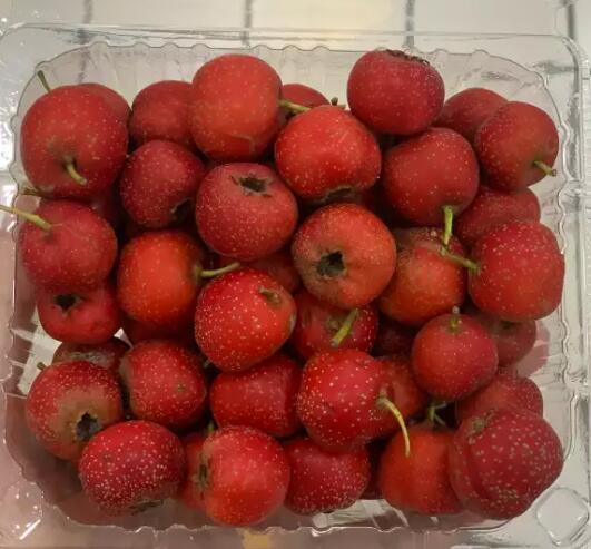 ɽ���ˮ��Ѫѹ��