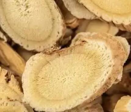 ������ʮ����Ѫ��