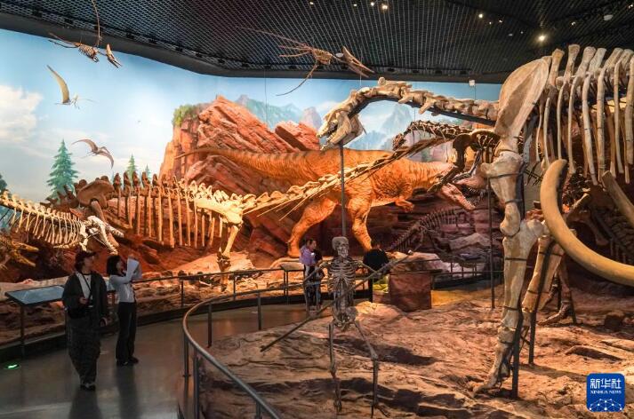 �߽��ν���ʯ��������Ȼ�Ų������