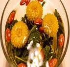 СС�ջ���轲�