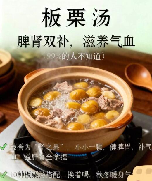 �ﶬ������������