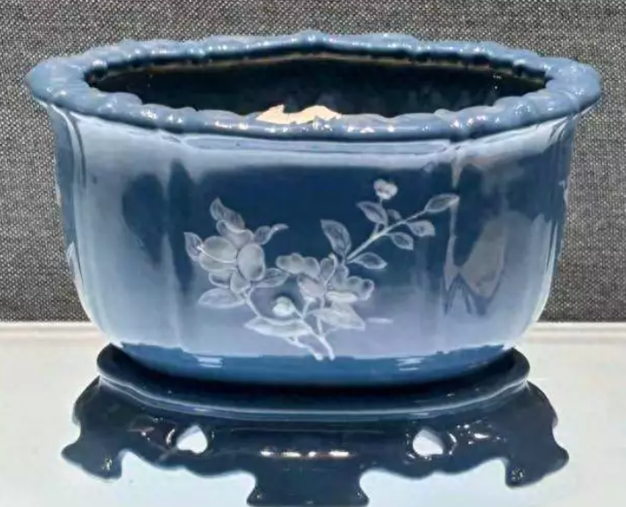 ����ݾ�����ѧ�컨����ֻ�����Ѱ׺���