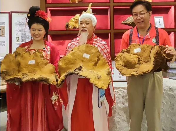 徐福与灵芝长生不老药千年传诵